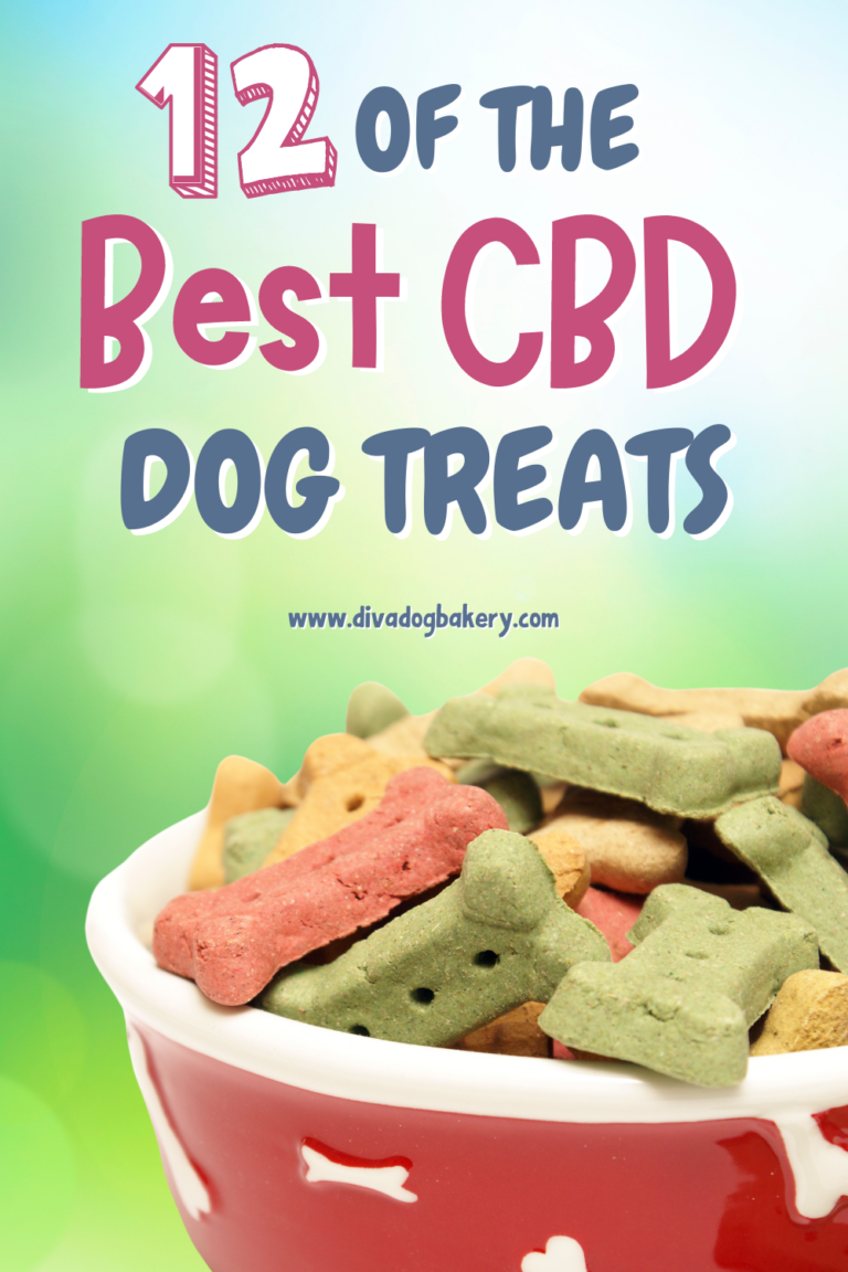 12-of-the-best-cbd-dog-treats