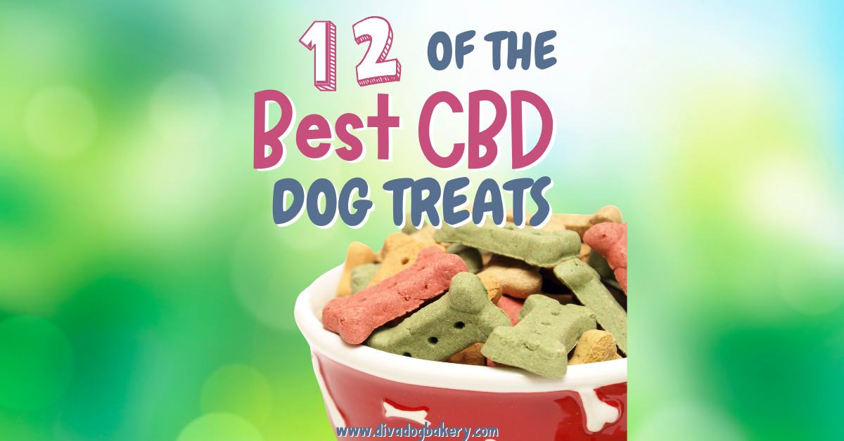 There are many CBD dog treats on the market. Here are the best!
