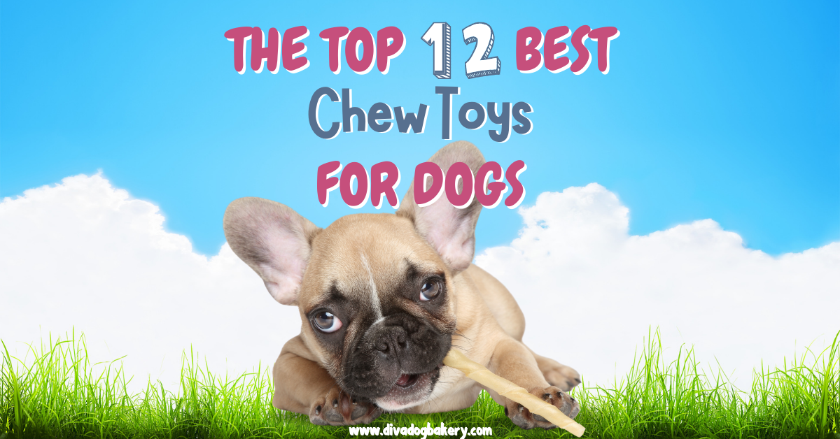 These are some of the best chew toys for dogs to try now!