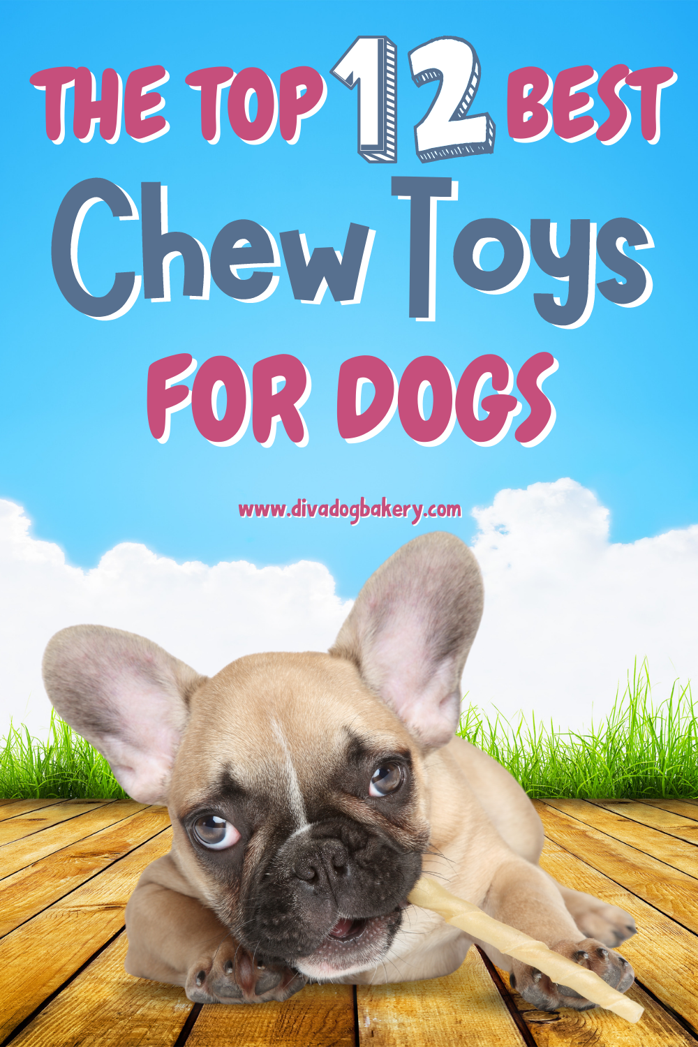 The Top 12 Best Chew Toys For Dogs