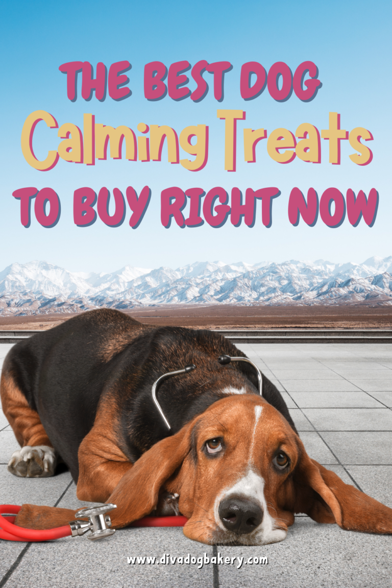 The Best Dog Calming Treats To Buy Right Now