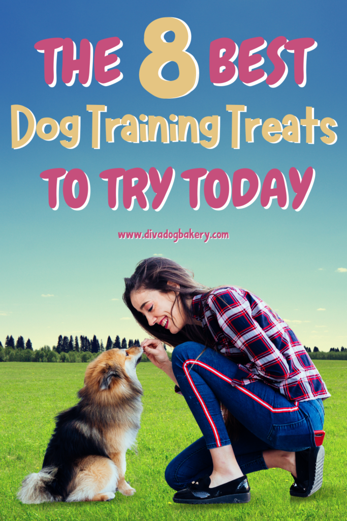 These are the best dog training treats to use in training your pup!