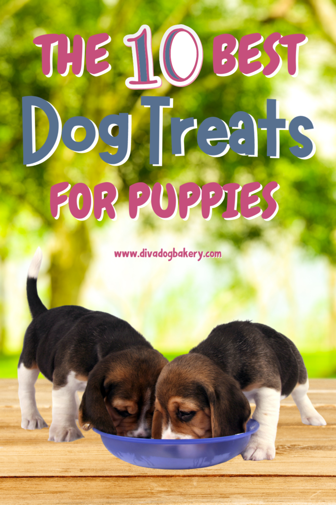 These are the best dog treats for puppies that you can get on the market!