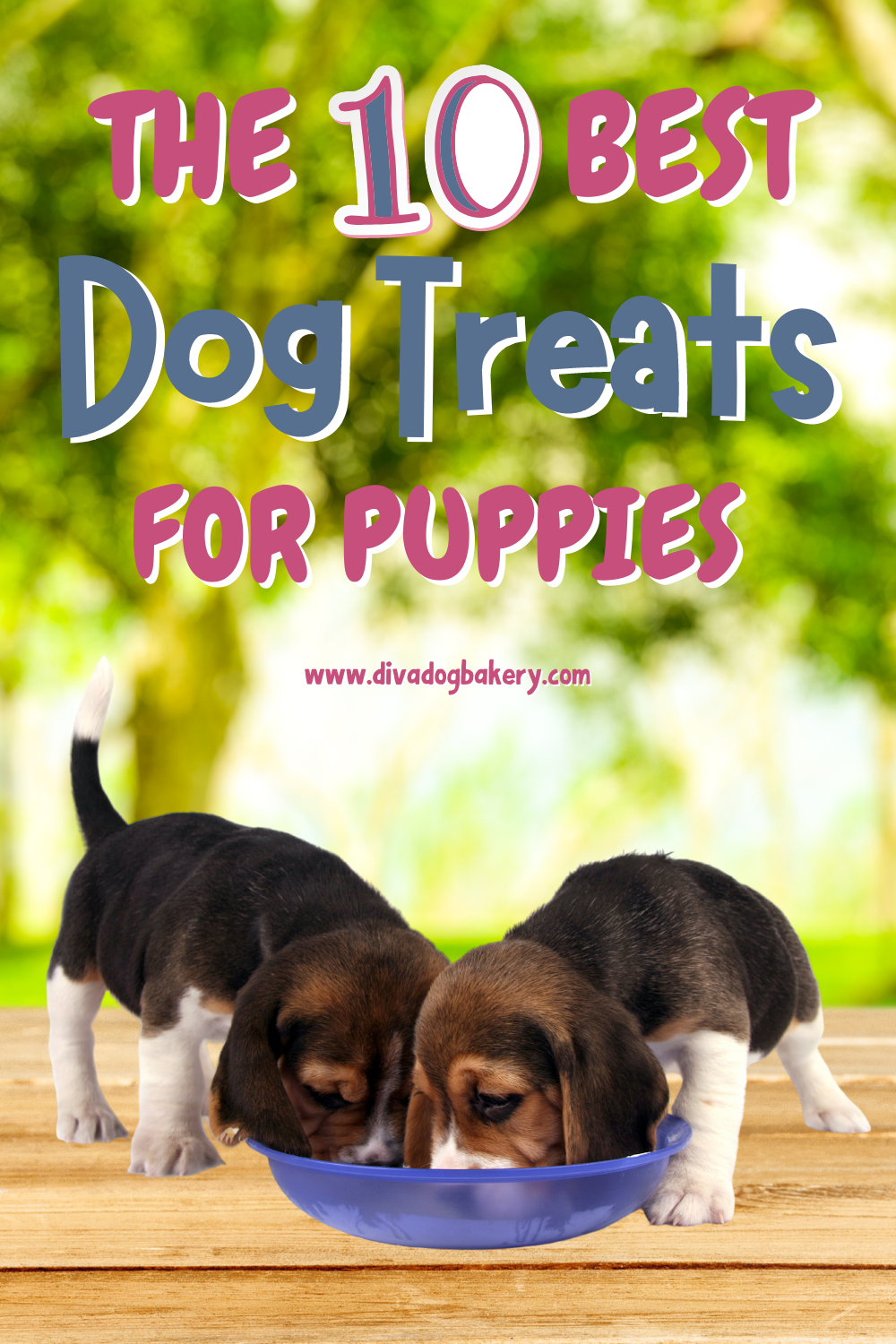 the-10-best-treats-for-puppies