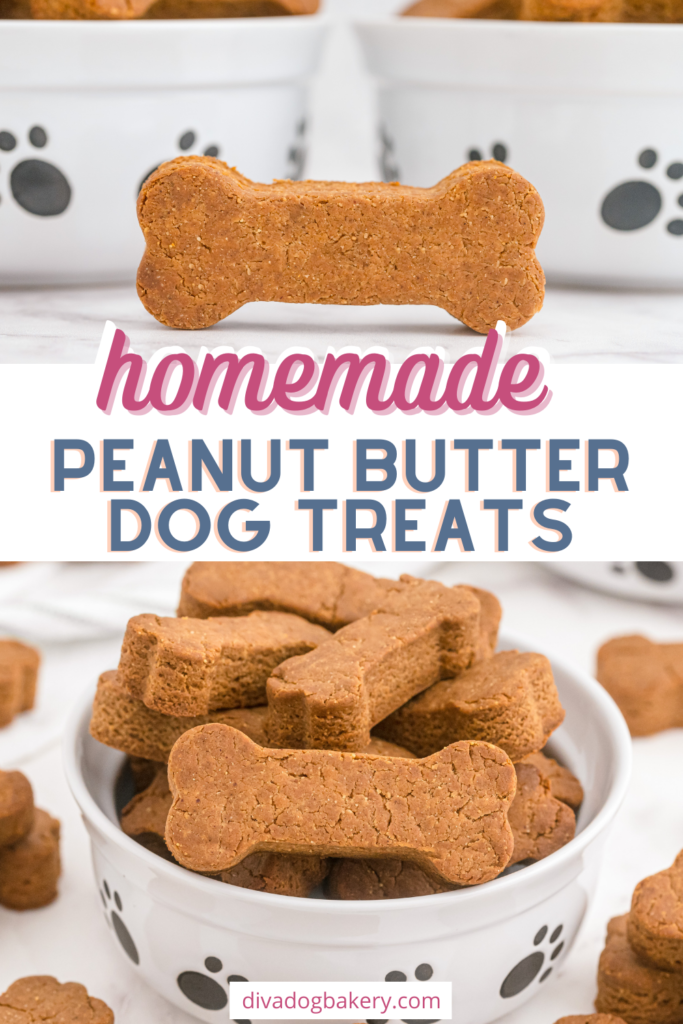How to make homemade peanut butter dog treats. Only 5 ingredients and your dog or puppy will love them!