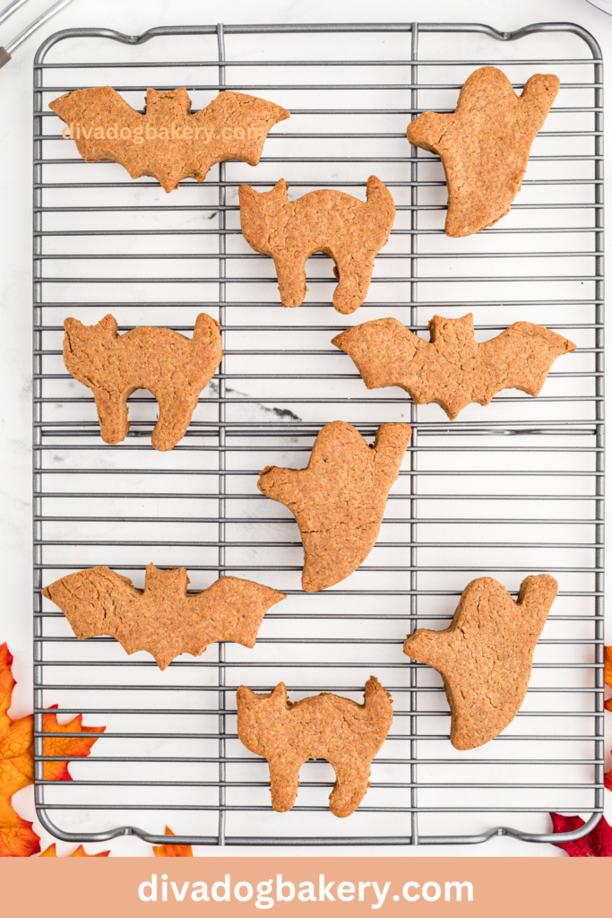 Variety of Halloween dog treats, including a bat, black cat and spooky ghost. Dogs will love these cookies!