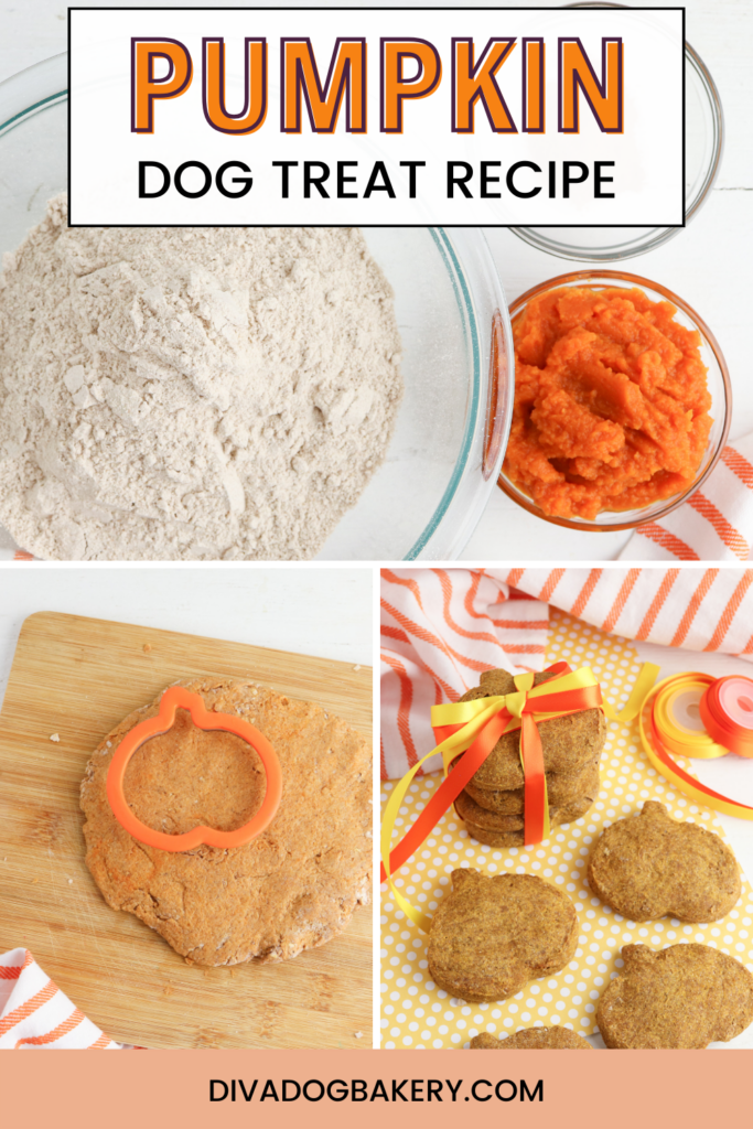Homemade pumpkin dog treat recipe is healthy and easy to make in just a few steps!